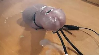 Cock milked on a dinner tray