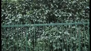 ERA TUO PADRE #06 - (Full Movie in HD Version uncut)