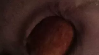 Two Apples in my Ass