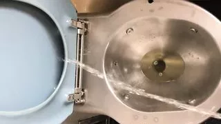 Pissing #8