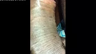 Put Your Head On My Lap And Cry