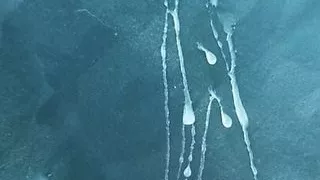 Lunch break masturbation