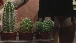 Sklaven Casting - Episode 2