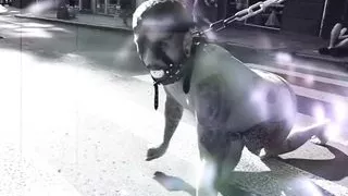 Tattooed Alt Girls, Femdom and Wax Play