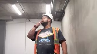 If I were king of the forest