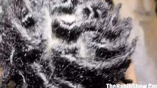 Davone Drake getting his BBC deep in Diamond Bank’s stomach