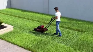 AWAM - Sam helped Sophia with the Lawn and got a great view