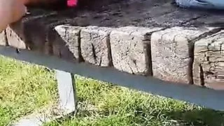 Squirt in a public park