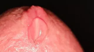 Extreme close-up of my dripping wet dick