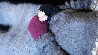 Sweater Fetish... Alpaca turtleneck, V-neck and mohair