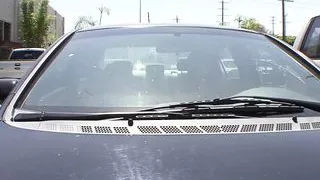 Busty lesbians India Summer, Tanya Tate and Stevie Reyes