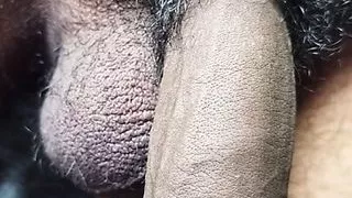 My cute cock, ready for bed share