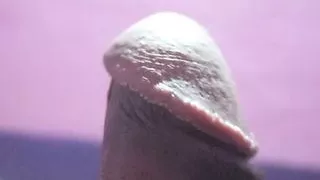 Penis Flashing – Young Boy