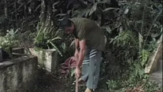 Trans deep experience - Episode 9