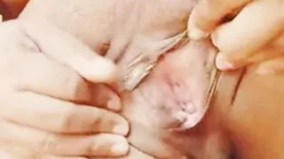 Spreading pussy lips and fingering ass