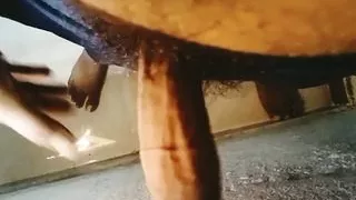 Adult boys and girls