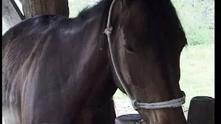 Giovane Troia succhia il mio Cazzo in fattoria!