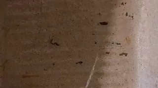 walking at dawn at a friend's house, to go pee on his patio with my cock halfway up and wanting to masturbate outdoors