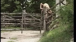 Il Cacciatore di Fica!!