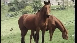Un Duro allenamento!