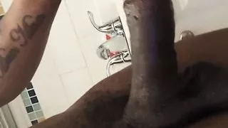 Riesiger fetter breiter Schwanz von FireFox