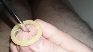 Rolling condom into urethra, urethral sounding, Close Up