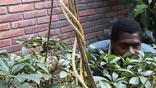 Blonde with natural tits gives blowjob and fucks with a big cock