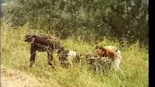 Gli incontri che Tutti Vorremmo!