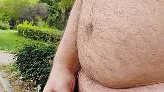 Visiting another park walking with the cock in sight 3