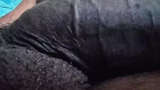 SEE IF YOU CAN SEE MY HAIRY ASS IN ANY VIDEO – THERE ARE 3 VIDEOS HERE