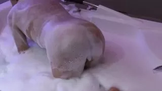 My beautiful wife enjoys the jacuzzi at the motel before fucking my friend