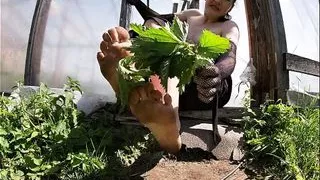 Feet Whipping With Itchy Nettles