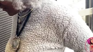 Flashing In An Elevator