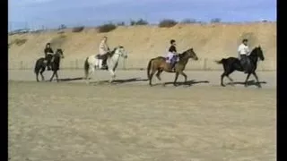 Ficone Pelose (Full Movie)