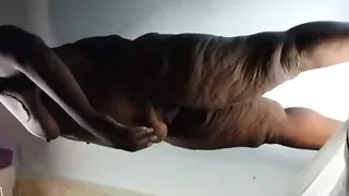 Thot in Texas GH6 - BBW Booty Amateur Black Ebony Milf fucked Raw Creamy Fuck At Gloryhole