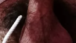 Unbeschnittener Penis mit Eichel