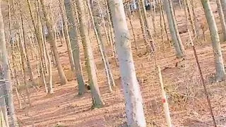 Slutboyben CAM4 Sexy Cruising Chick XXV