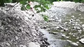 A Miraculous Erection (Full Movie)