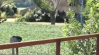 The Private Lust of Roberta Farnese (Full Movie)