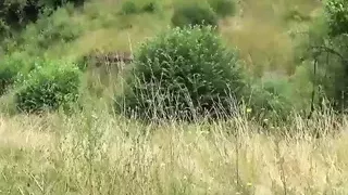 The Pussy is Better (Full Movie)