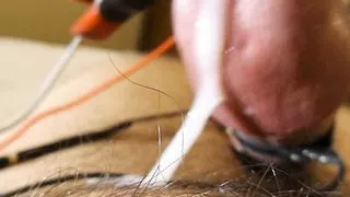 00 Gauge PA cock electro cum