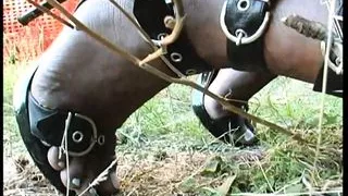 The ass of my trans - Episode 1