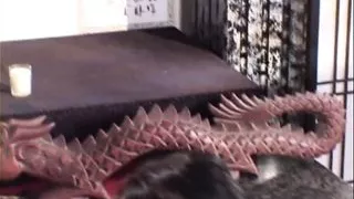 Monster, Hard and Deep in my ASS