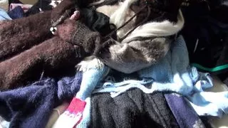 Mohair Bärenkostüm, Pullover-Fetisch, Abspritzen, schwuler Bärenfetisch, Vibrator, Sperma auf Unterwäsche