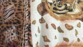 Sapequinha With Cold Is Wanting Pal