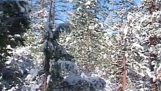 Com Public - Lisa Marie loves taking cock in her hot and wet pussy