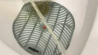 pissing on the staff toilet