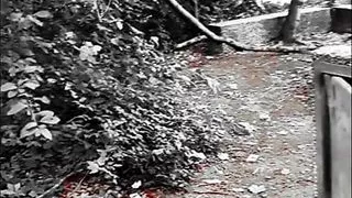 Slutboyben CAM4 – Sexy Cruising Slut Pissing