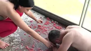 humiliation femdom feeding