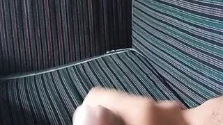 Tante, Sjef, Homo, Indisk